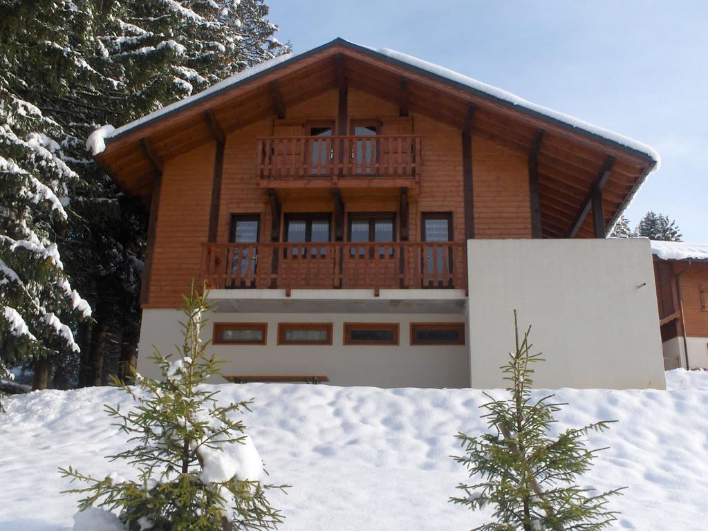 Magnificent Chalet On The Mountain Slopes Les Gets Exterior photo