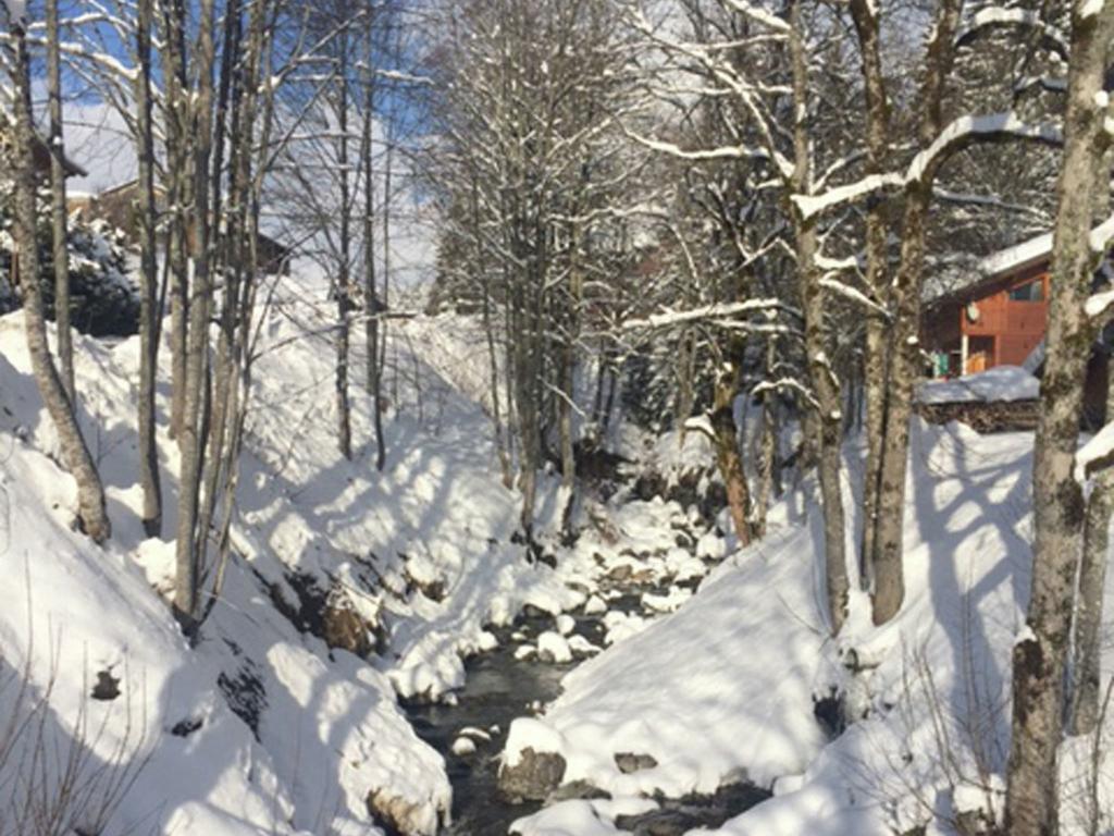 Magnificent Chalet On The Mountain Slopes Les Gets Exterior photo