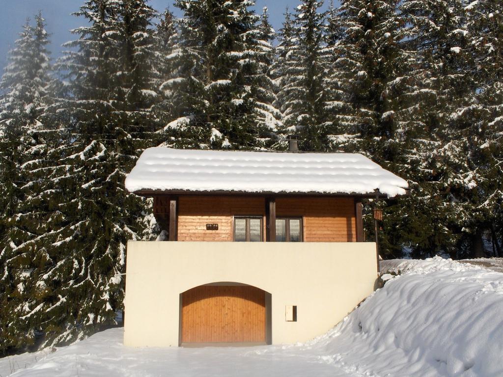 Magnificent Chalet On The Mountain Slopes Les Gets Exterior photo