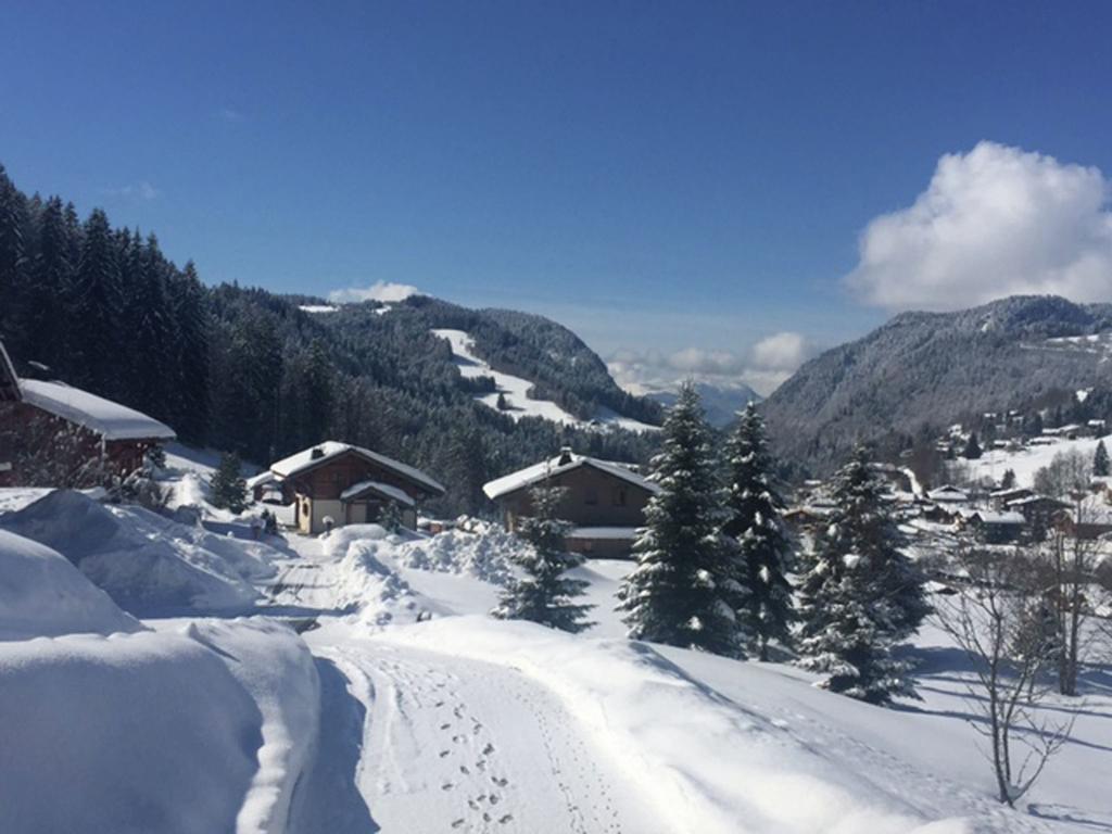 Magnificent Chalet On The Mountain Slopes Les Gets Exterior photo